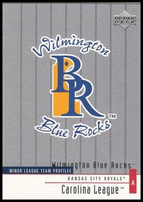 377 Wilmington Blue Rocks TM